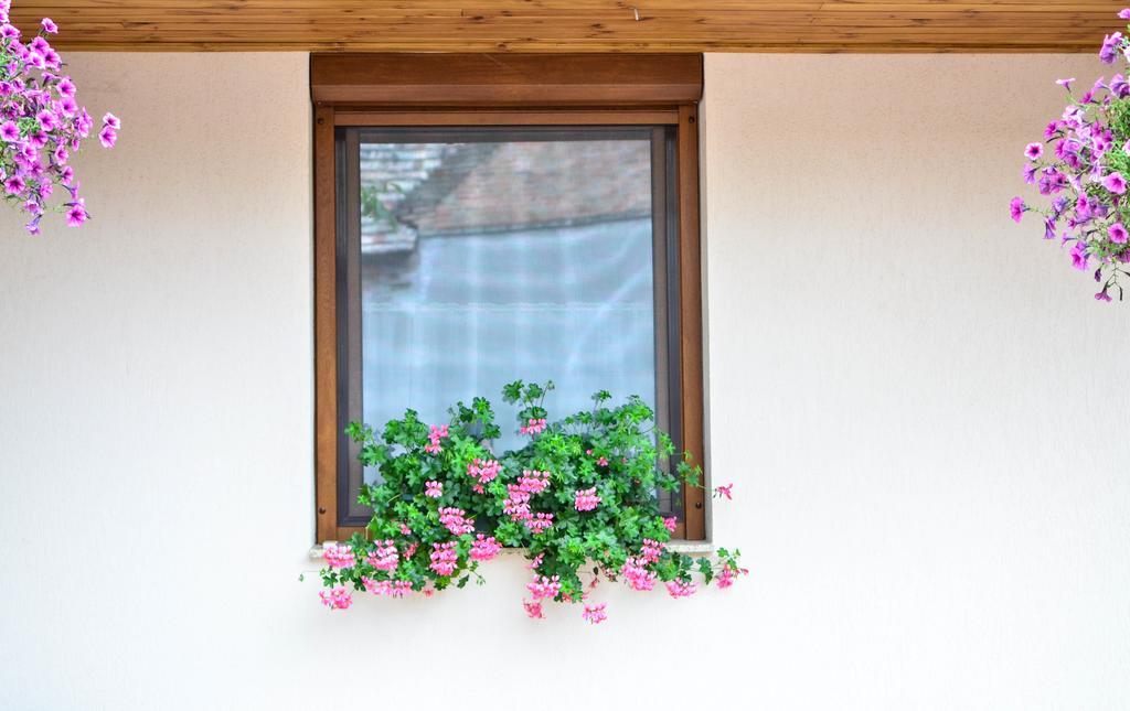 Páva Apartmanház Makó Esterno foto